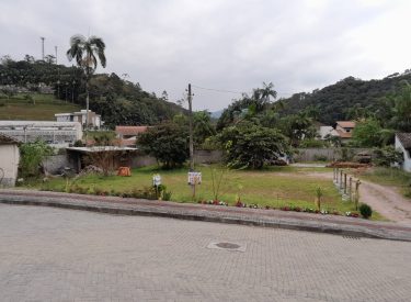cartorio