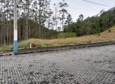 mato