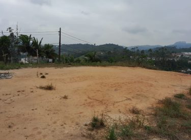 terreno centro 1