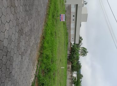 terreno imigrantes